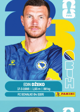 EDIN DZEKO