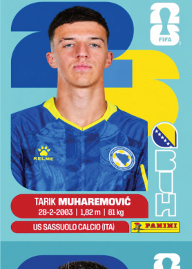 TARIK MUHAREMOVIC