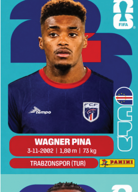 WAGNER PINA