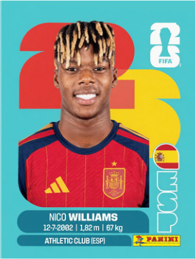 NICO WILLIAMS