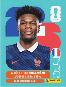 AURELIEN TCHOUAMENI