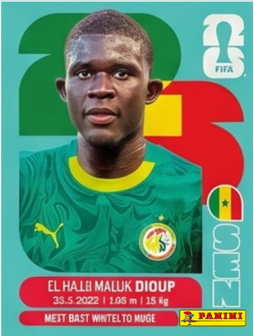 EL HAJI MALIK DIOUP